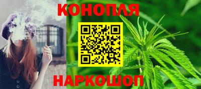 прущие грибы Донецк