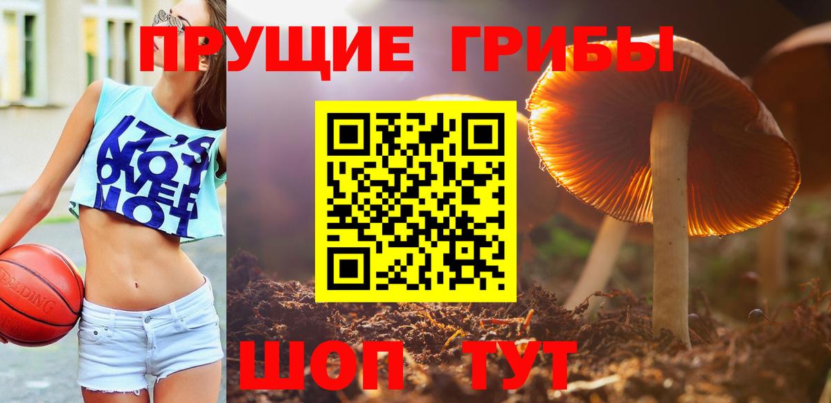 Галлюциногенные грибы MAGIC MUSHROOMS  Псилоцибиновые грибы GOLDEN TEACHER  Нарткала  Вход с VPN 