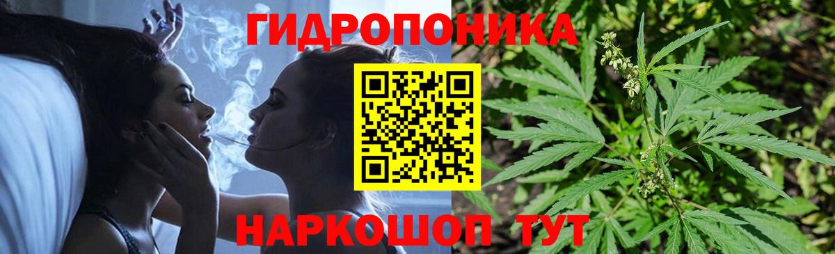 МАРИХУАНА семена Нарткала